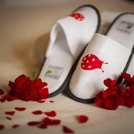 فندق Ermellina Siena, A Tribute Portfolio