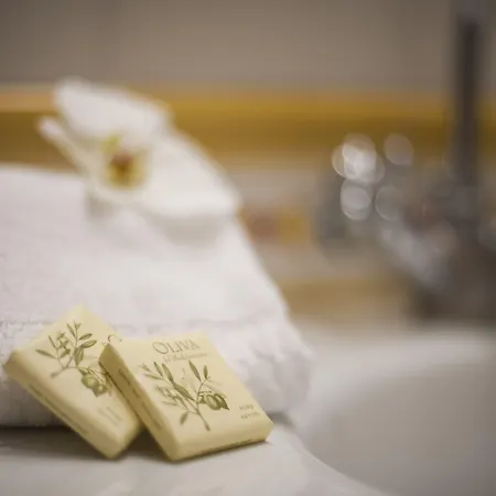 Ermellina Siena, A Tribute Portfolio 4* سيينا