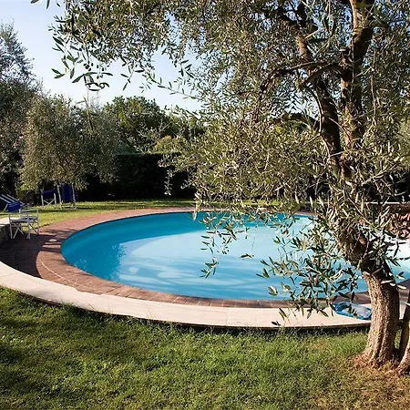 Ermellina Siena, A Tribute Portfolio סיינה